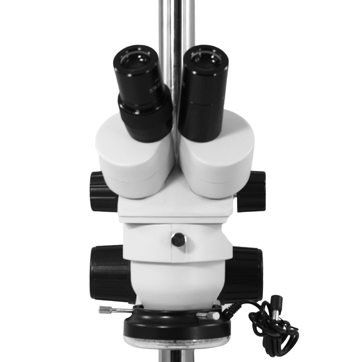 Stereo Microscope